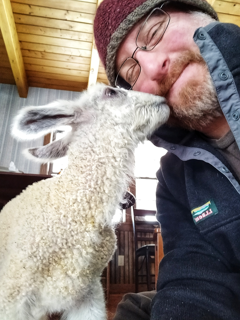Illustration for article titled First house lamb of the year...